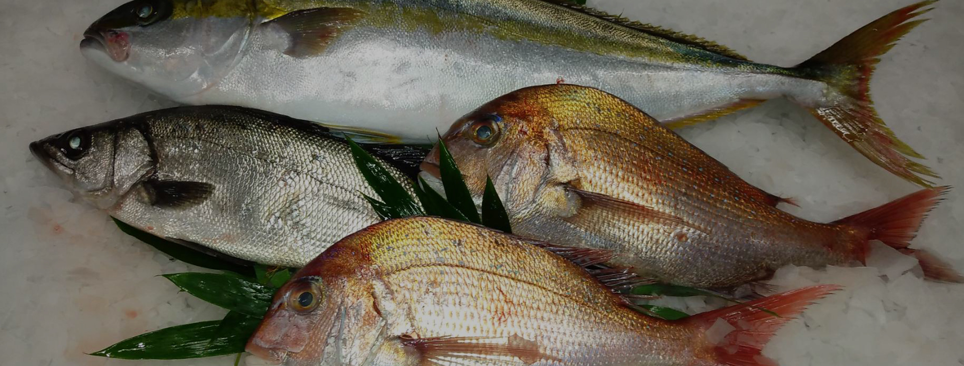 浜田鮮魚店